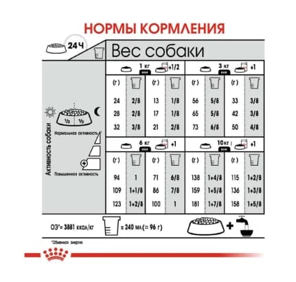 Еда для собак Сухой корм для собак Royal Canin Mini Coat Care