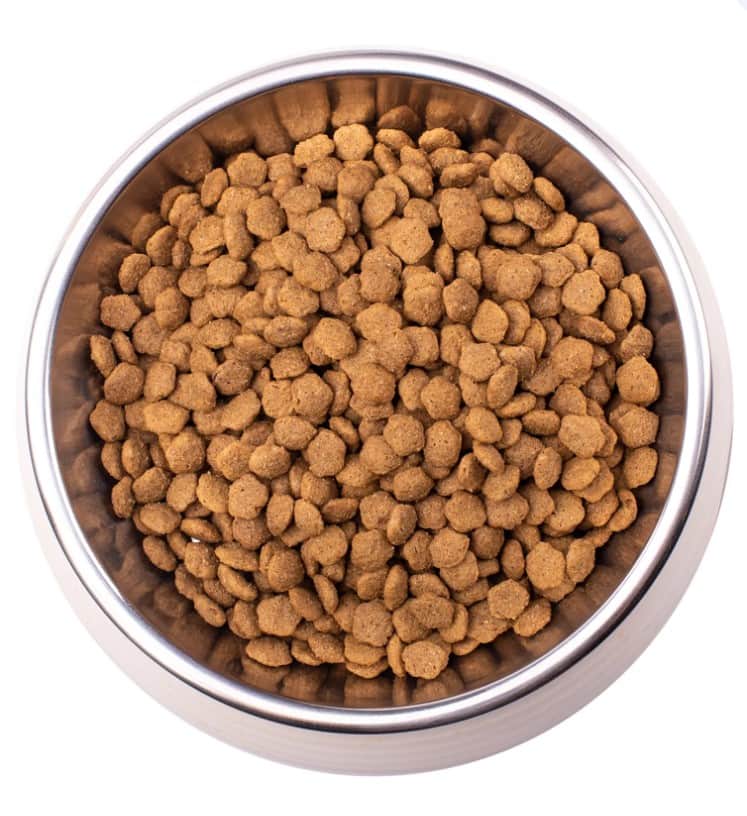 Диетическое питание для кошек Monge VetSolution Diabetic Cat