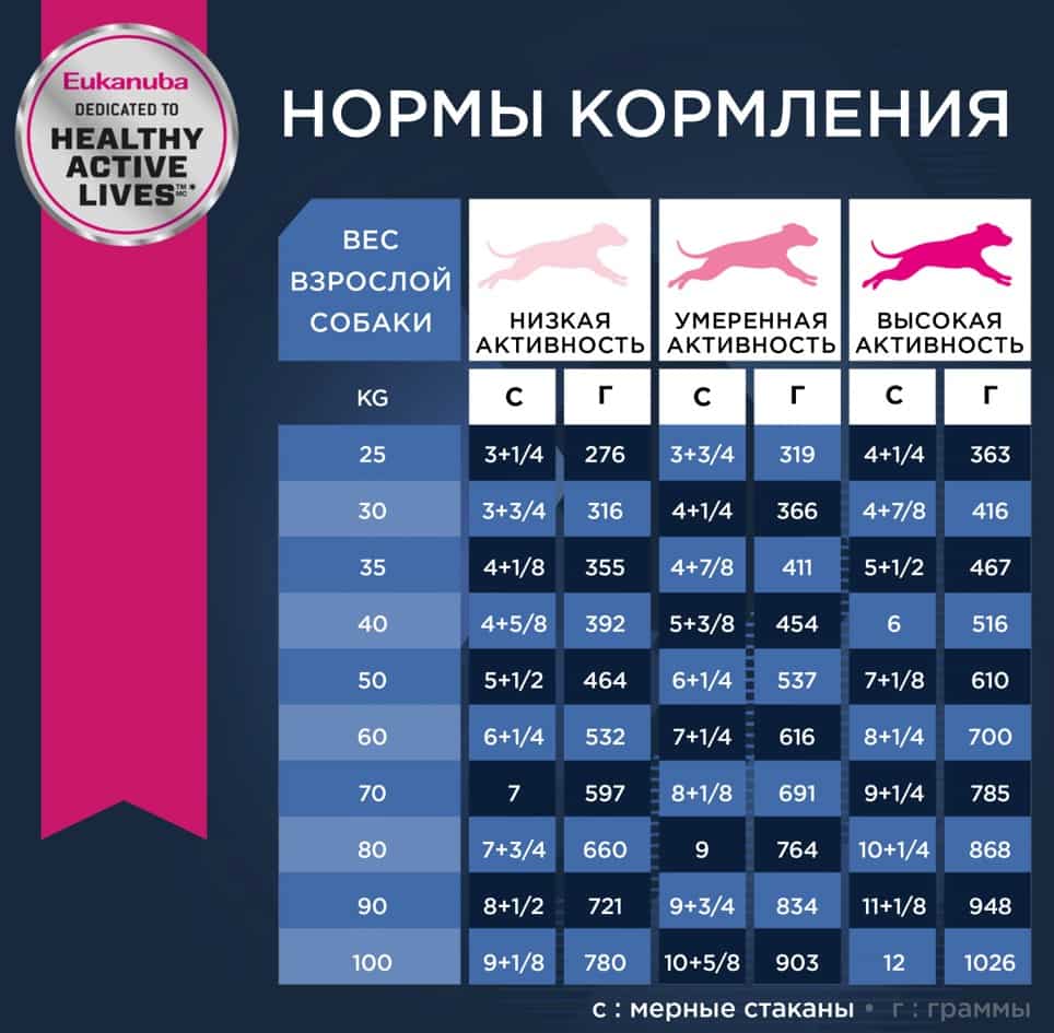 Питание для старых собак Сухой корм для собак Eukanuba Senior 7+ Large (птица)