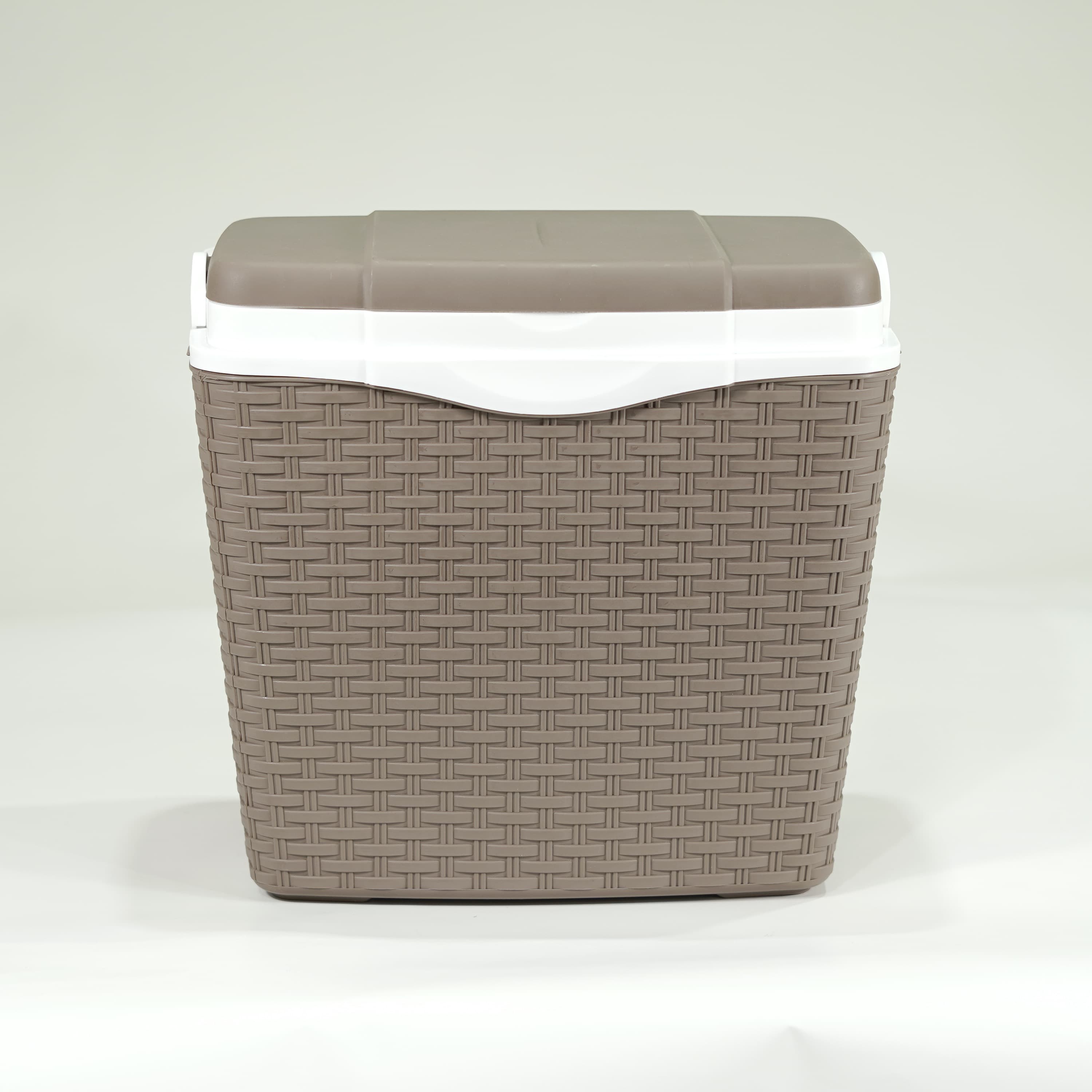 Каталог Термобокс PICNIC RATAN 24 л (мокка) для собак 