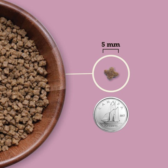 Сухой корм для котят ACANA KITTEN