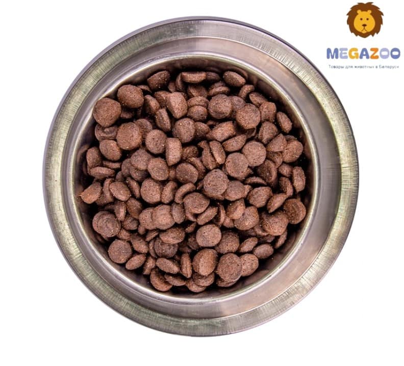 Питание для собак Monge Dog BWild GF Adult All Breeds (ягненок, картофель, горох)