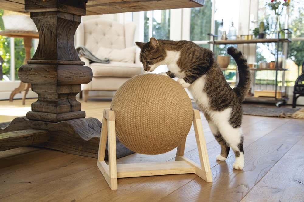 Когтеточка ГЛОБУС DESIGNED BY LOTTE