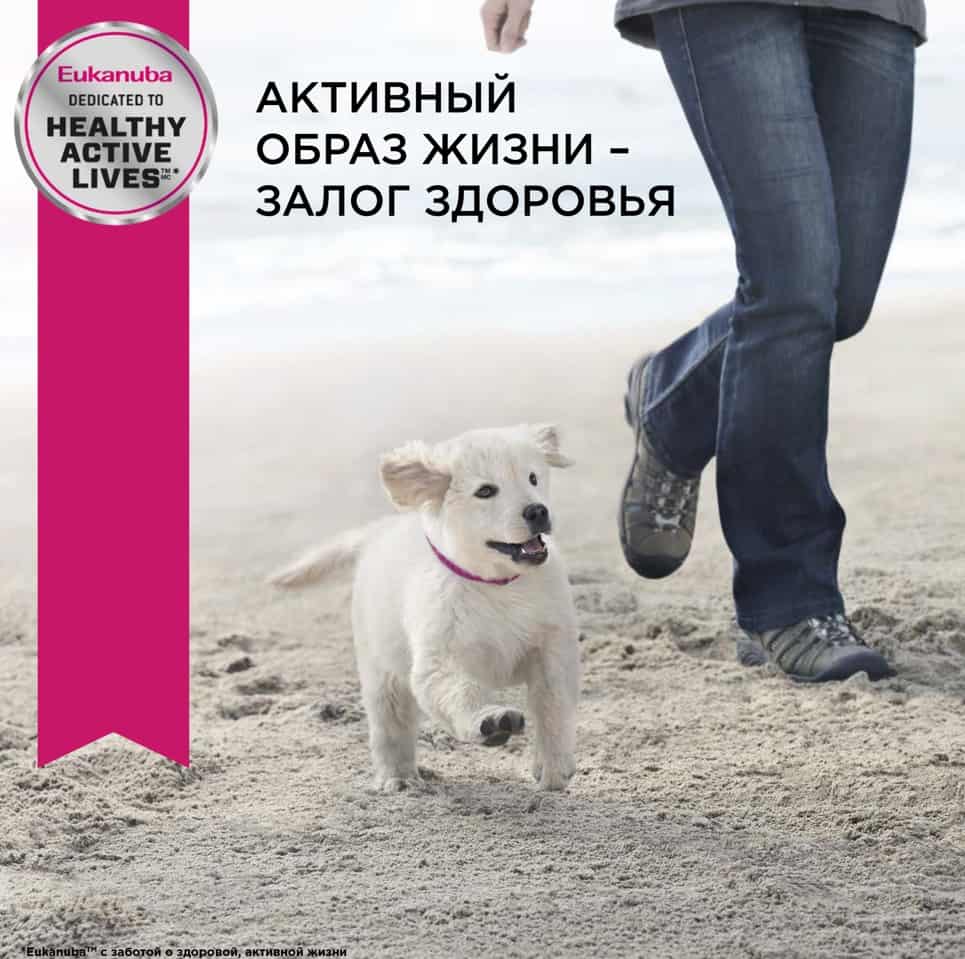 Пища для щенков средних пород Сухой корм для щенков Eukanuba Puppy Medium Breed (птица)