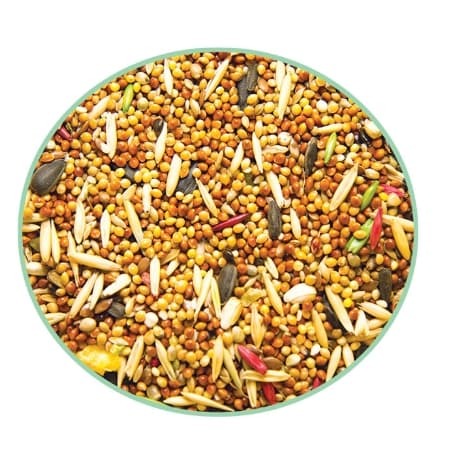 Корм для канареек Triol Original 450 гр (50111013)