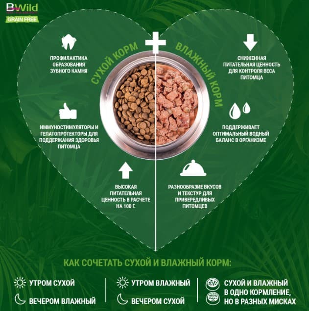 Влажный рацион для кошек Monge Cat BWild Sterilised Grain Free (кабан, овощи)