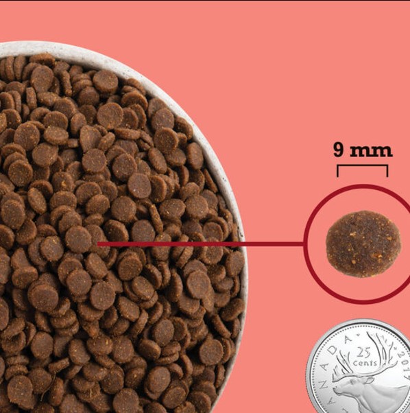 Сухой корм для кошек ACANA INDOOR CAT