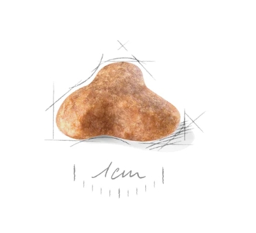 Еда для мопсов Сухой корм для собак Royal Canin Pug Adult