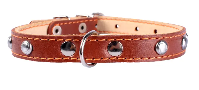Ошейник для собак  двойной c украшением "Collar"