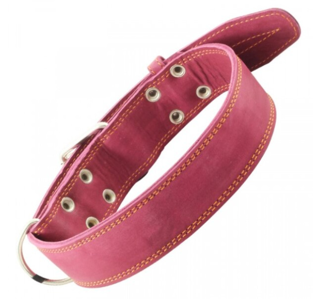 Ошейник кожаный двойной c выносным кольцом Gamma 45 мм*880 мм (11232039)