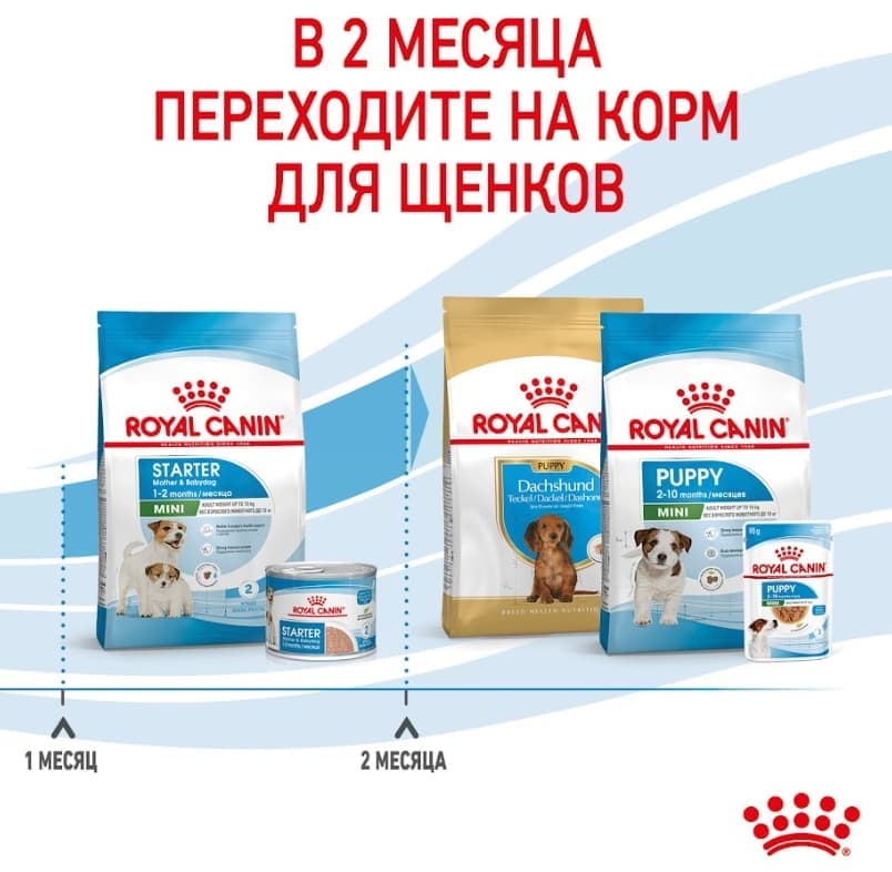 Еда для щенков Сухой корм для щенков Royal Canin Mini Starter