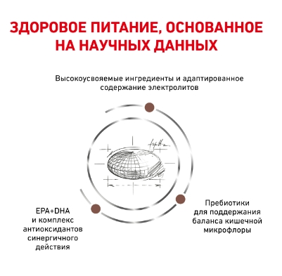 Сухой корм для кошек Royal Canin Gastro Intestinal Moderate Calorie Cat полнорационный диетический корм для кошек