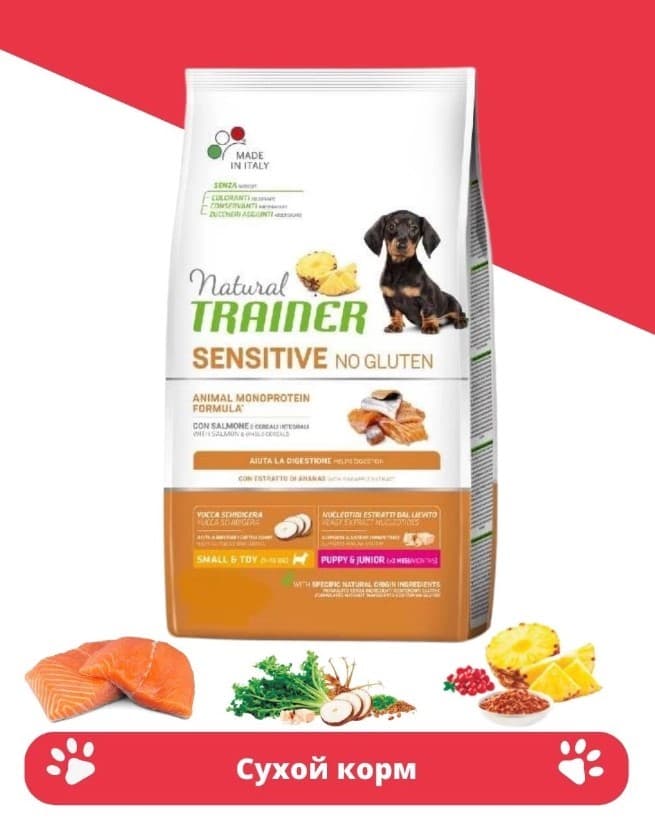 Пища для щенков мелких пород с чувствительным пищеварением Trainer Natural Sensitive No Gluten Mini Puppy&Junior (лосось)