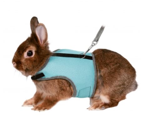 Набор для карликовых кроликов "TRIXIE" (61513)