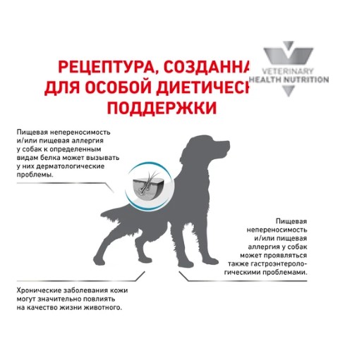 Ветеринарный корм для собак Сухой корм для собак Royal Canin Anallergenic Dog