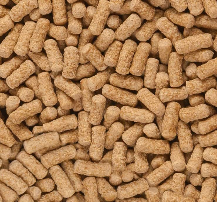 Дополнительный корм для черепах SERA Raffy Mineral 250 мл 55 г (1893)