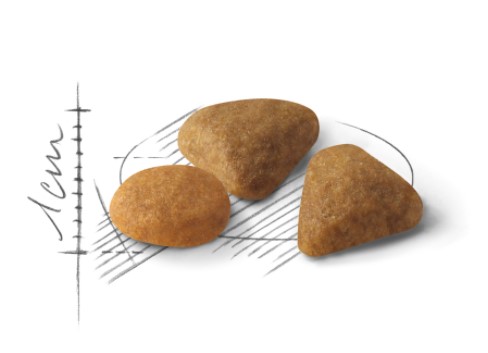 Royal Canin Savour Exigent полнорационный сухой корм для кота  с индивидуальным предпочтениям к пище 