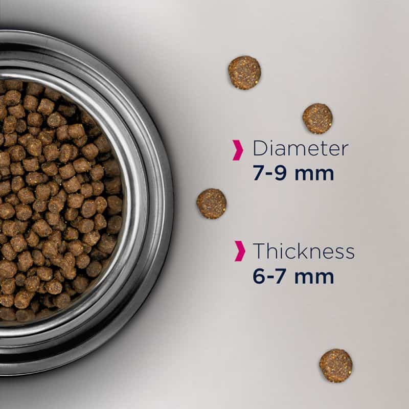 Сухой корм для кошек Eukanuba Cat Adult Hairball (курица)