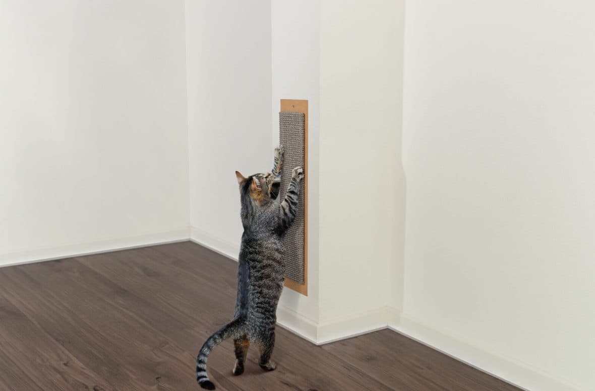 Когтеточка TRIXIE Jambo