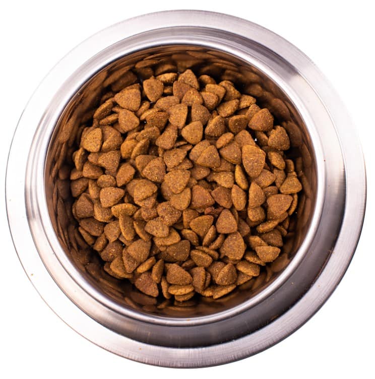 Лечебное питание для собак Monge VetSolution Cardiac Dog