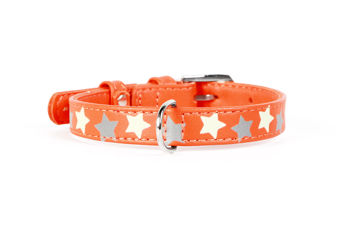 Ошейник с узором "Звёздочка" "CoLLaR Glamour"