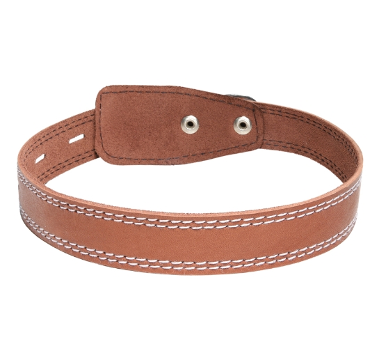 Ошейник кожаный Gamma 25 мм*580 мм