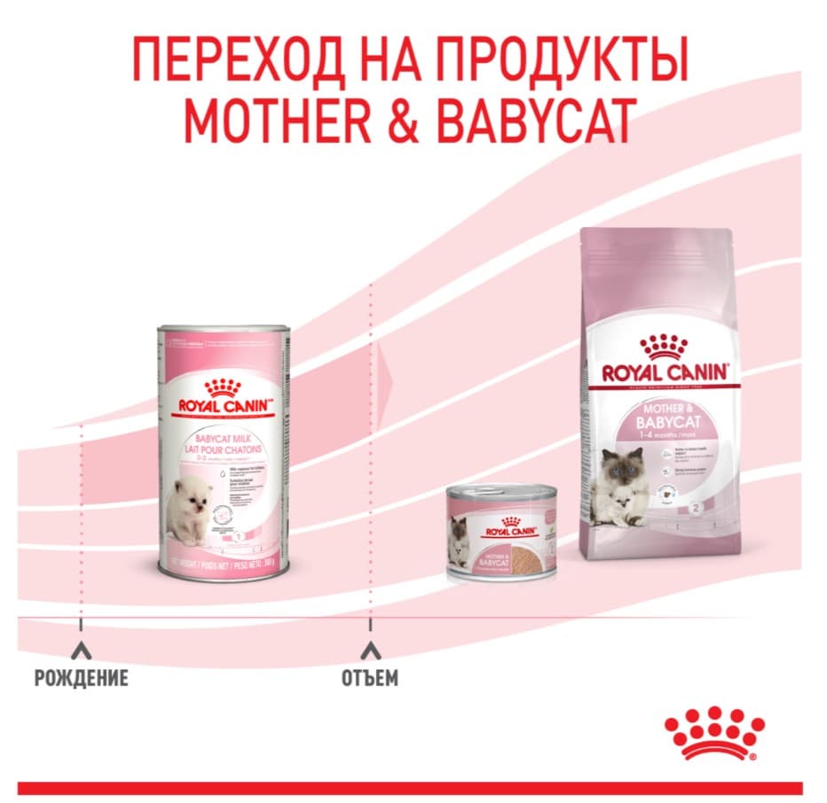 Молочная смесь для котят, как замена молока Сухое молоко для котят Royal Canin Babycat Milk