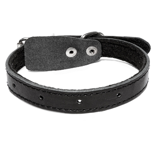 Безразмерный ошейник на синтепоне Gamma