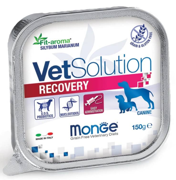 Лечебное питание для собак Monge VetSolution Recovery Dog
