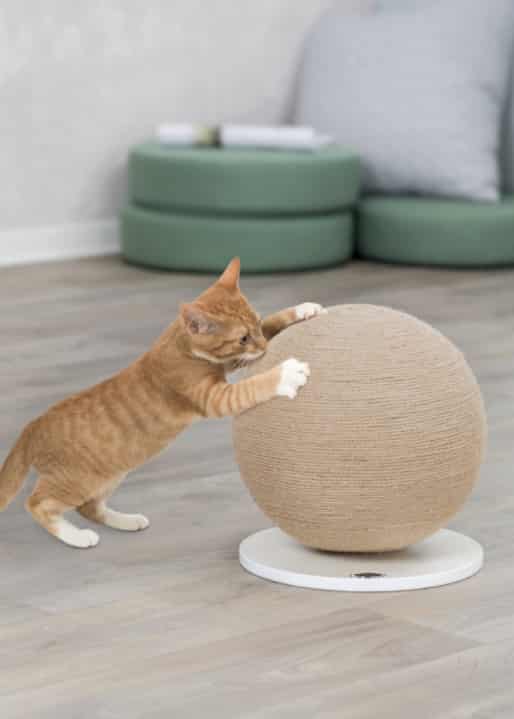 Когтеточка-шар TRIXIE (43721)