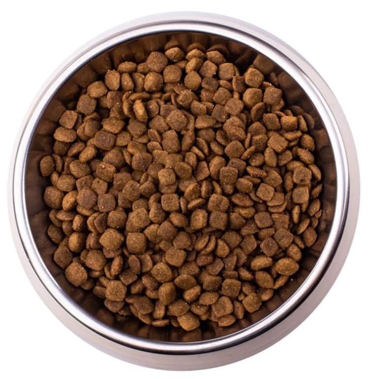 Лечебное питание для кота Monge VetSolution Gastrointestinal Cat