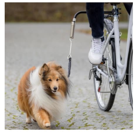Каталог Поводок с креплением к велосипеду TRIXIE (1287) для собак 
