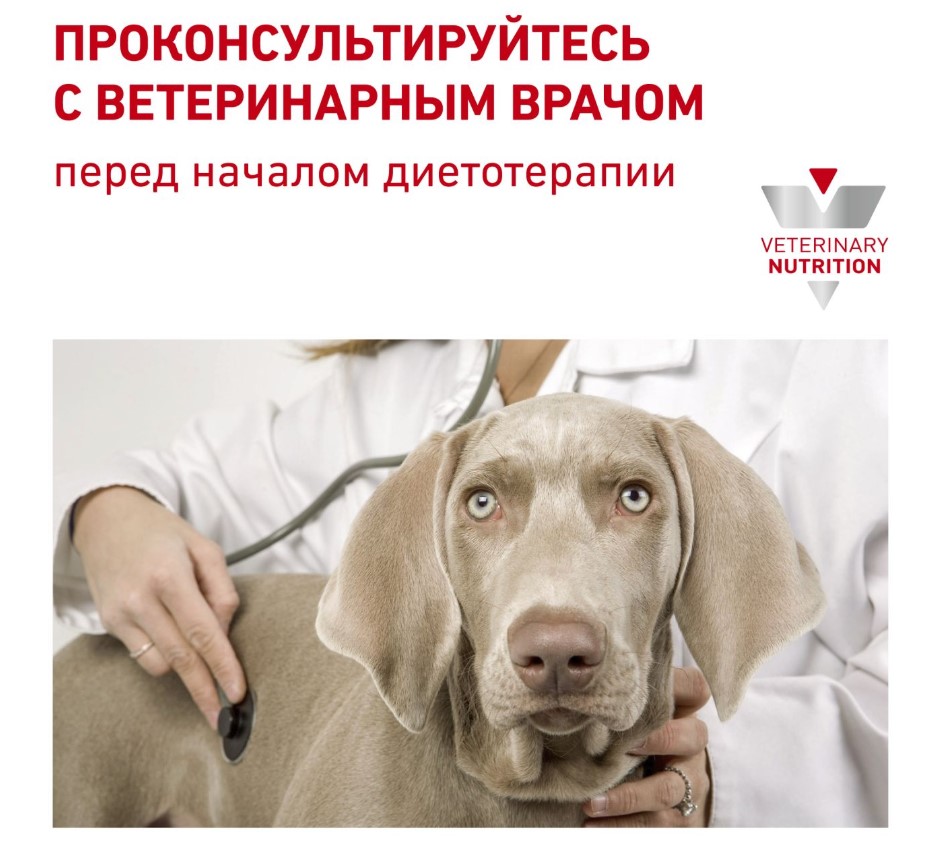 Консервы для собак Royal Canin Urinary S/O Dog