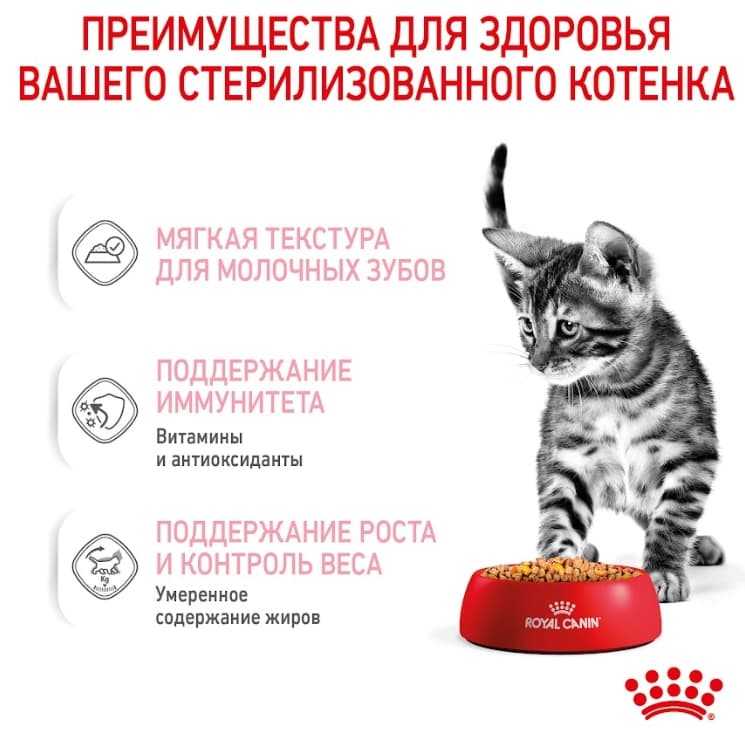 Влажная еда для котят Royal Canin Kitten Sterilized (в желе)