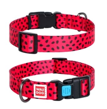 Ошейник с рисунком "Арбуз" WAUDOG Nylon