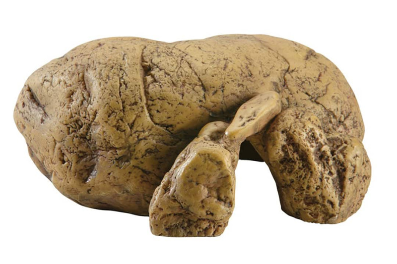 Убежище-грот Reptile Cave 7x15.5x16 см PT2930 (H229302)