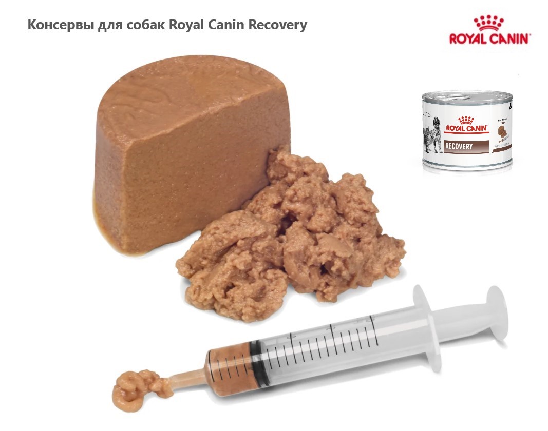 Еда для собак Консервы для собак Royal Canin Recovery 195 гр