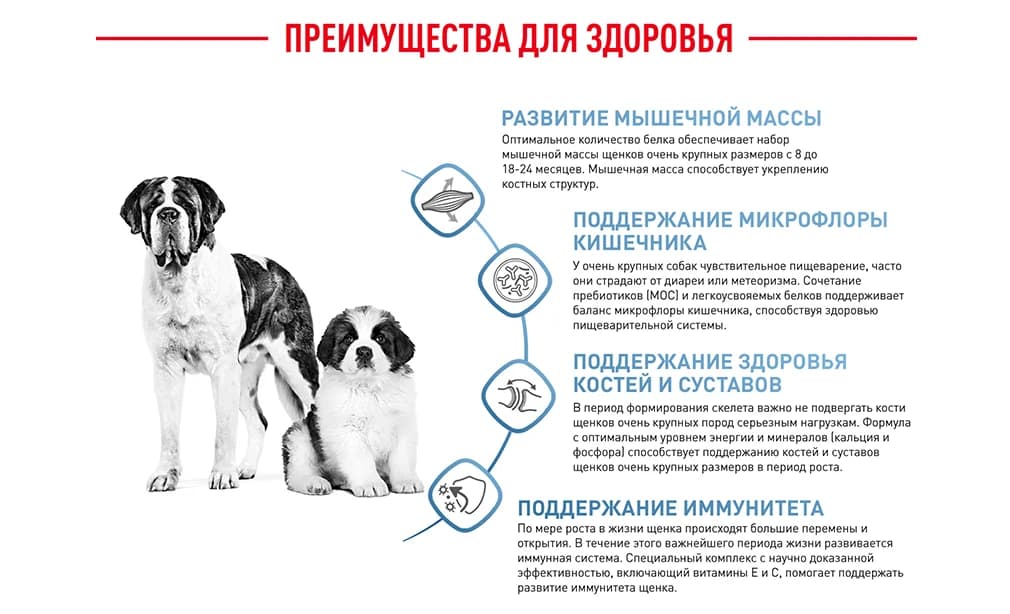 Еда для собак Сухой корм для собак Royal Canin X-Small Sterilised