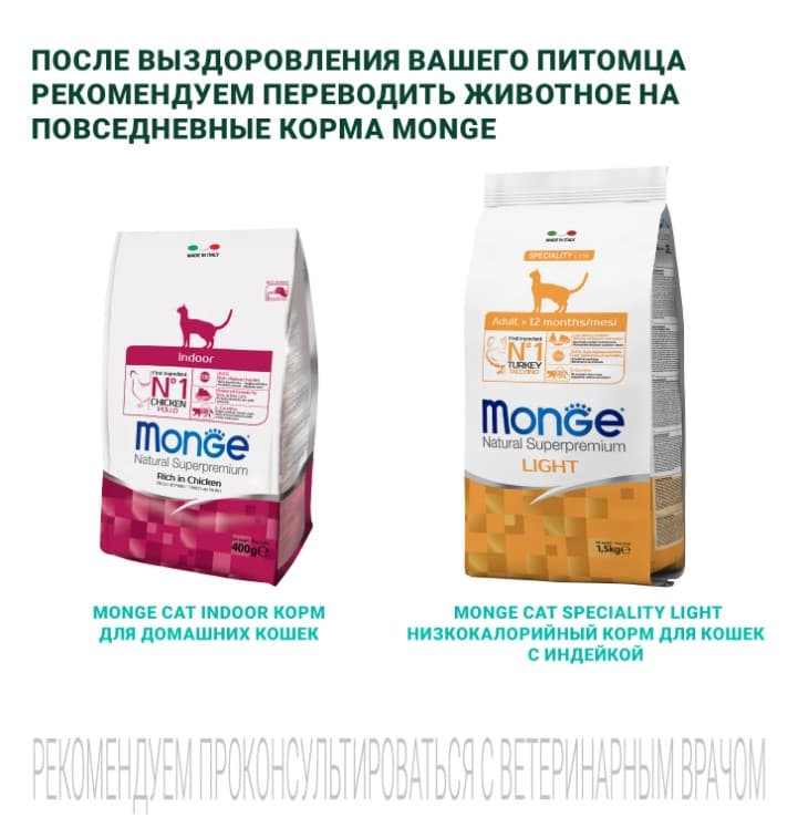 Диетическое питание для кошек Monge VetSolution Diabetic Cat