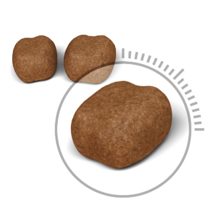 Сухой корм для кошек Royal Canin Oral Care полнорационный сухой корм для взрослых кошек