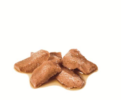 Консервированный корм для кошек Royal Canin Maine Coon Adult в соусе