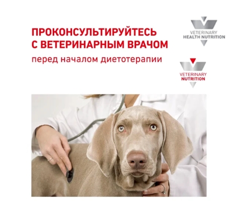 Ветеринарный корм для собак Сухой корм для собак Royal Canin Urinary S/O Dog