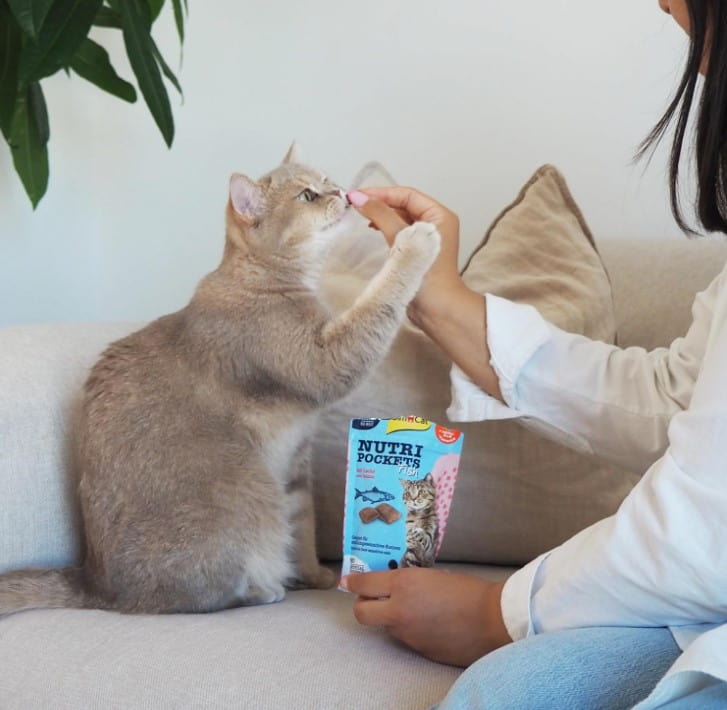 Вкусняшки для кошек GimCat Nutri Pockets (лосось)