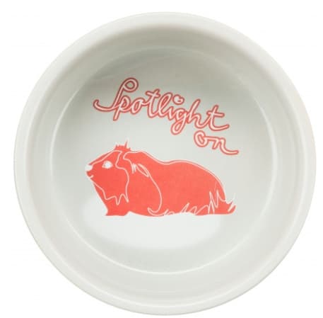 Миска керамическая для морских свинок 250 мл/диаметр 11 см TRIXIE (60738)