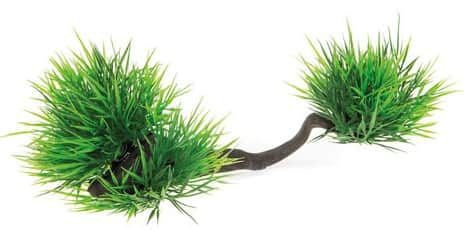 Растение на корне Aquael B2108 23х10х9 (246211)