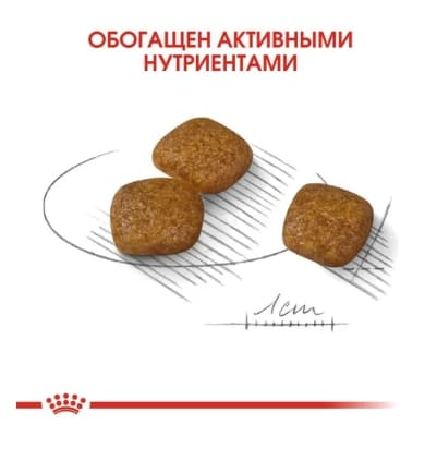 Питание для собак Сухой корм для собак Royal Canin Mini Urinary