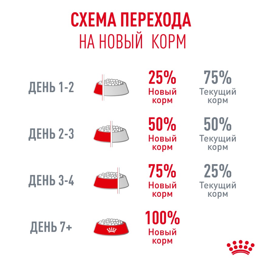 Сухой корм для очень пожилых кошек Royal Canin Ageing 15+