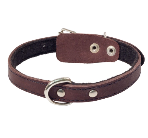 Ошейник кожаный на синтепоне с кольцом Gamma