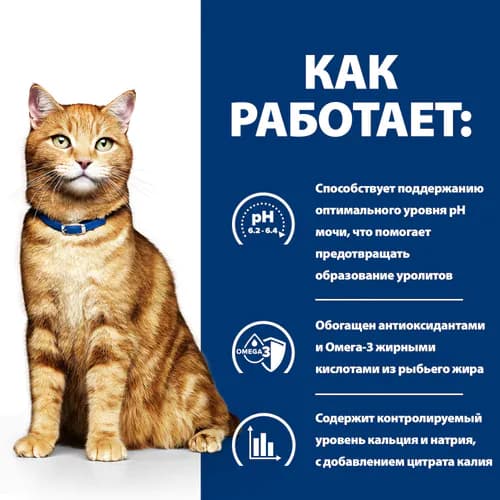 Сухой корм для кошек Hill's Prescription Diet c/d Multicare Urinary Care (курица)