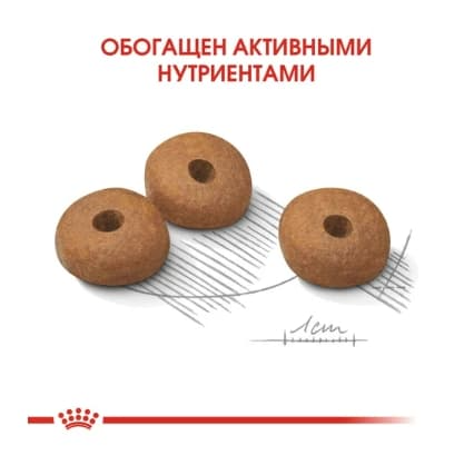 Питание для собак Сухой корм для собак Royal Canin Mini Light